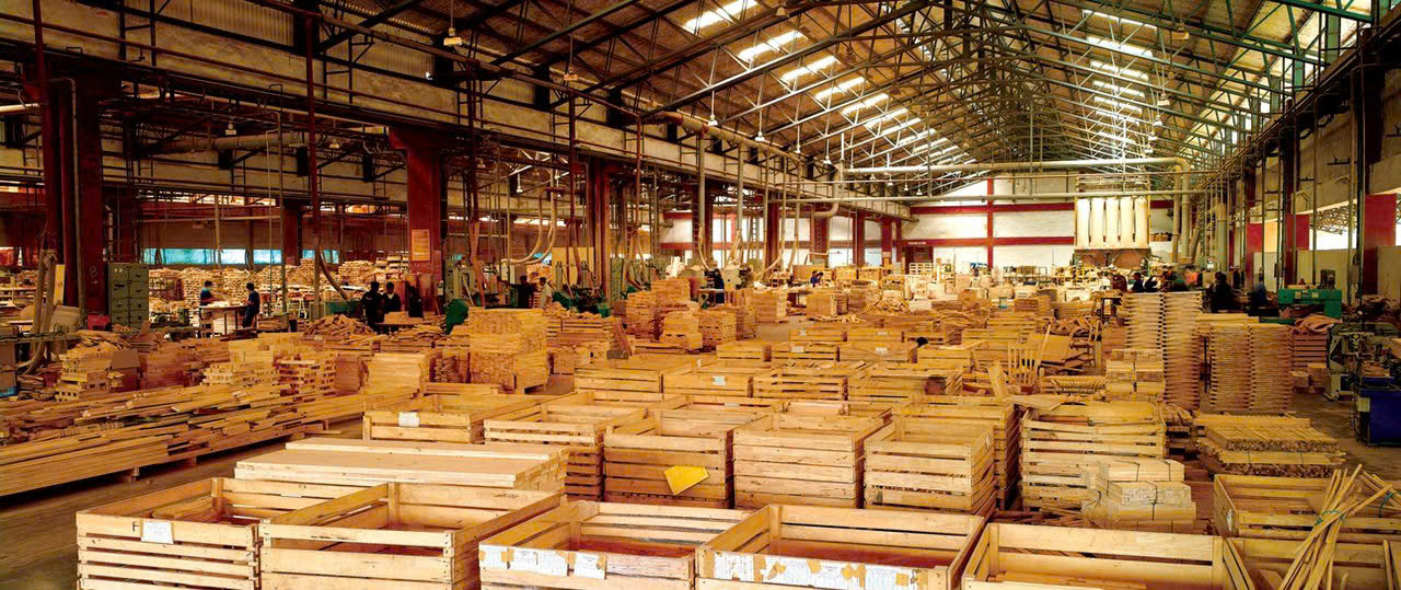 Bán nhà máy sản xuất gỗ tại Tân Sơn, Phú Thọ diện tích 60000 m2 (6 ha), xưởng 12.000m², đầy đủ máy móc, đang cho thuê 450 triệu/tháng, giá 60 tỷ.