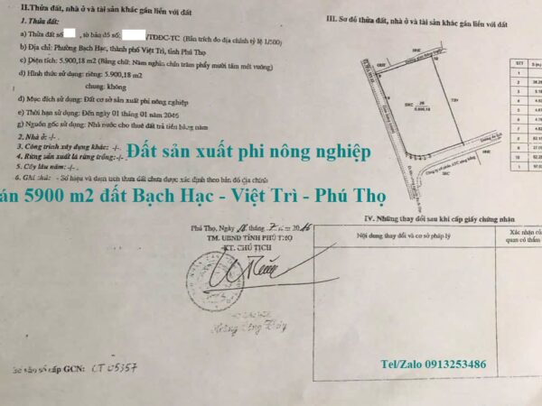 Bán 5900 m2 đất Bạch Hạc - Việt Trì - Tỉnh Phú Thọ