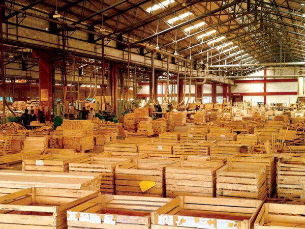Bán nhà máy sản xuất gỗ tại Tân Sơn, Phú Thọ diện tích 60000 m2 (6 ha), xưởng 12.000m², đầy đủ máy móc, đang cho thuê 450 triệu/tháng, giá 60 tỷ.